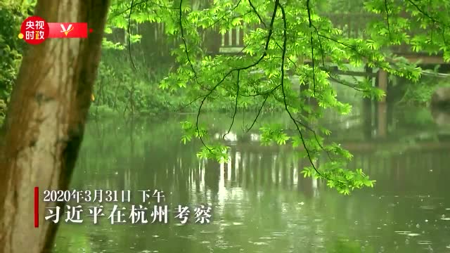 獨家視頻丨習近平考察杭州