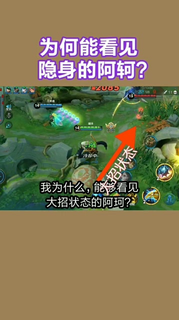 考眼力:为何能看见，隐身的阿轲？免费观看