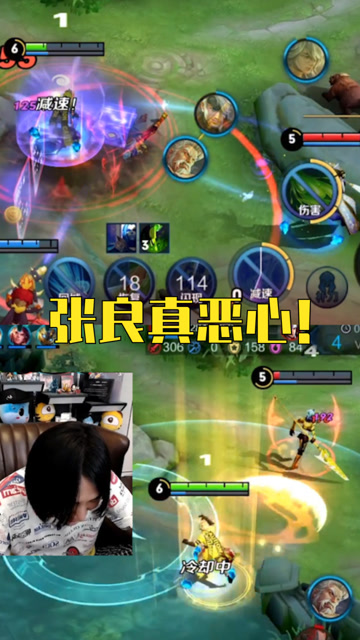 张大仙：张良这个英雄真恶心，建议删除免费观看