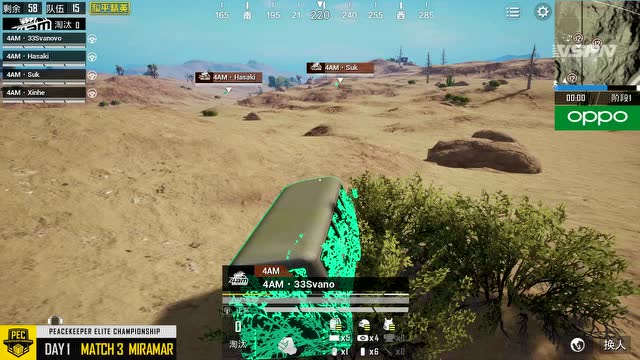 2019 PEC和平精英国际冠军杯 第1日 第3场 沙漠TPP免费观看