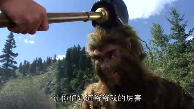 齐天大圣孙悟空遇到强盗此山是我开此树是我栽留下东西放你过去