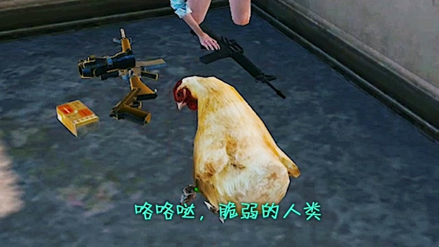 有时候，人活得还不如一只鸡免费观看