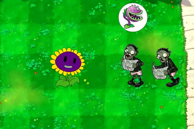 读报僵尸看到紫色的向日葵为何很疑惑？免费观看