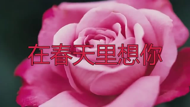 任妙音献唱一首在春天里想你,深情款款,推荐给大家