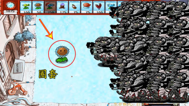 用向日葵引诱橄榄球僵尸，当接近那一刻后，植物们终于放大招了免费观看