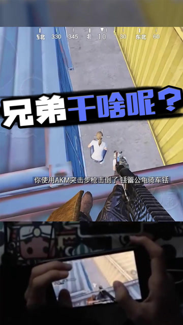 集装箱中冒出两个光头？免费观看