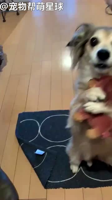 帶我一起走吧