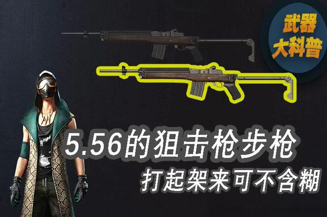 武器大科普： 5.56的狙击枪步枪，打起架来可不含糊免费观看