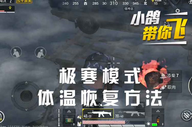 小鸽带你飞：极寒模式，体温恢复方法免费观看