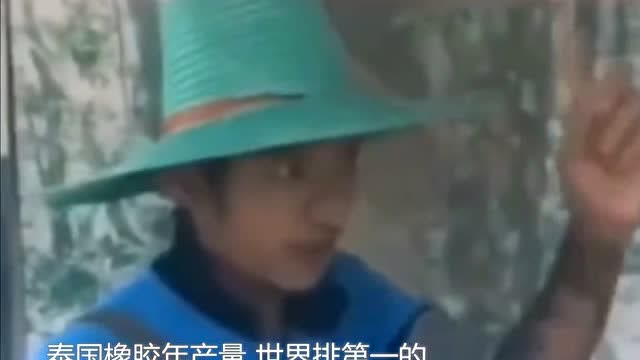 一羣中國遊客被泰國導遊忽悠了,不生氣還哈哈哈大笑,這是爲什麼呢?