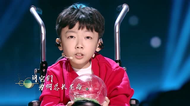 馮家妹 陳果毅 《草》純享cut
