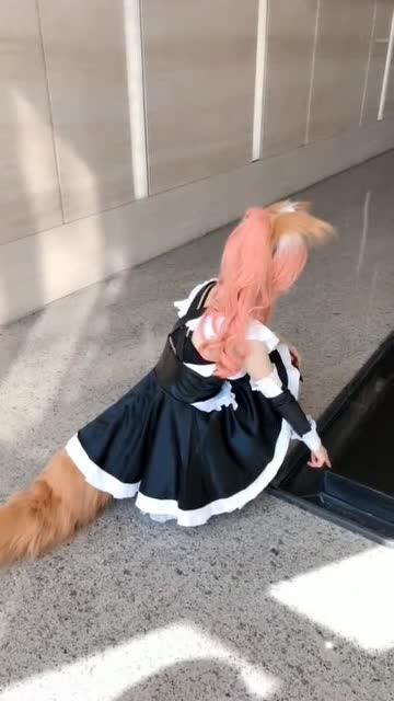 小狗狗： 哇，有个奇怪的小姐姐在追我免费观看