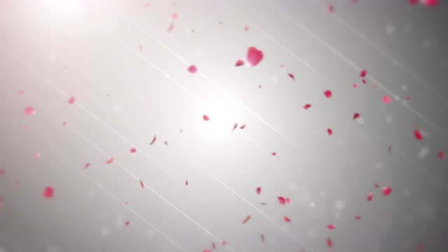 大咖妹子秀第144期：芬达免费观看