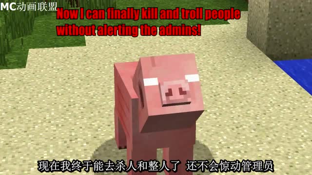 MC动画-如果Herobrine变成猪-Ninomoto Movies免费观看
