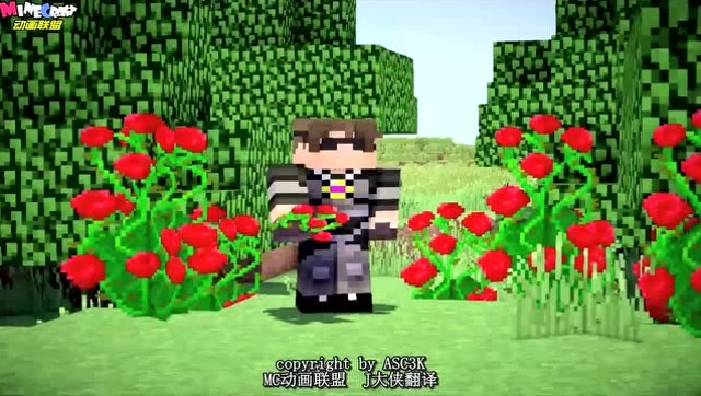 MC动画-sky大战Stampy-ASC3K免费观看