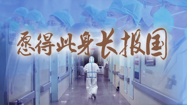 微視頻丨願得此身長報國