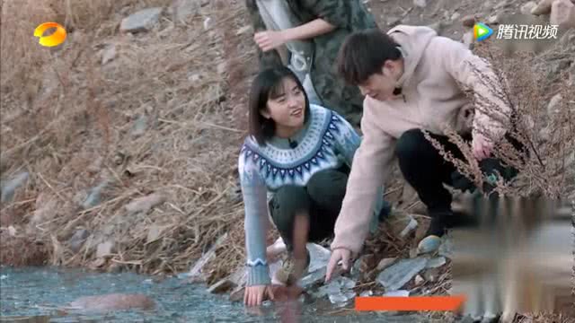 麻冻短剧，现代娱乐的新宠