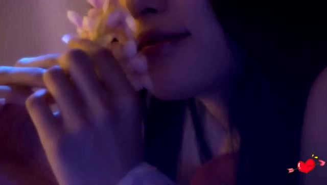 王者荣耀：王昭君与貂蝉之间不能诉说的秘密，百合向！免费观看