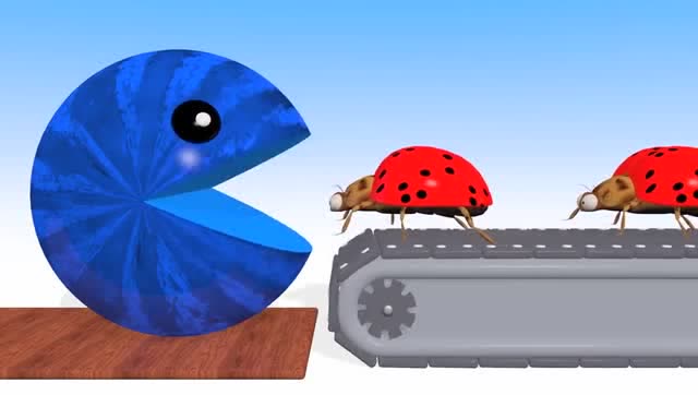 吃豆大作战：吃豆人VS七彩瓢虫 颜色学习 3D版免费观看