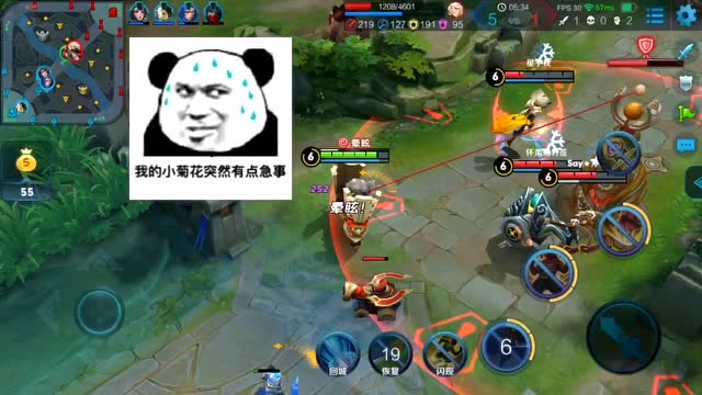 王者荣耀：廉颇被张良嘲讽没伤害？全攻装廉颇越塔也要干他！免费观看