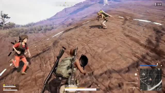 绝地求生：捡到个小可爱，不是说好拼药的？免费观看