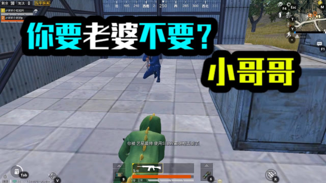 和平精英：你要老婆不要？小哥哥！免费观看