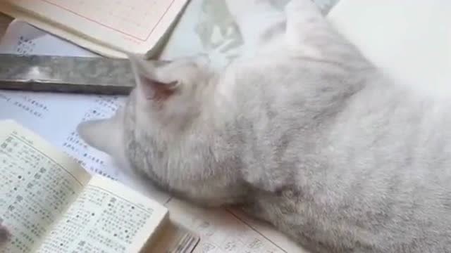 快起開,別耽誤孩子考清華,恕我直言看完這個視頻後又長知識了!