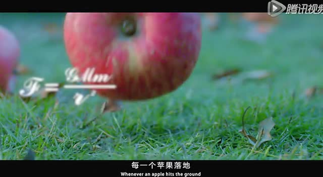 商派 让互联网商业无处不在