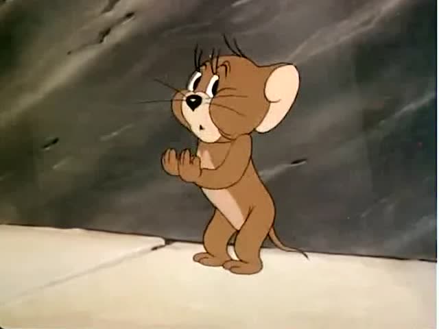 倒放猫和老鼠毁童年这不是我认识的杰克和汤姆全程笑哭我