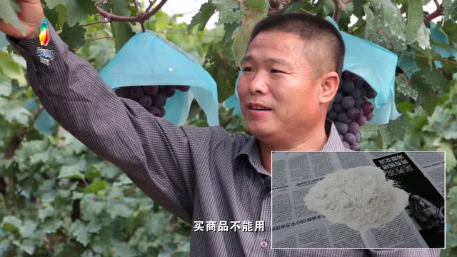 寻找身边的园艺达人第九期—王秀雨