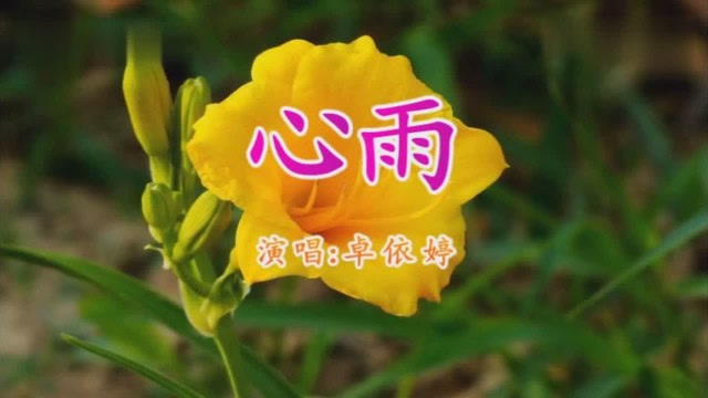 卓依婷一首《心雨》歌声甜美,好听极了