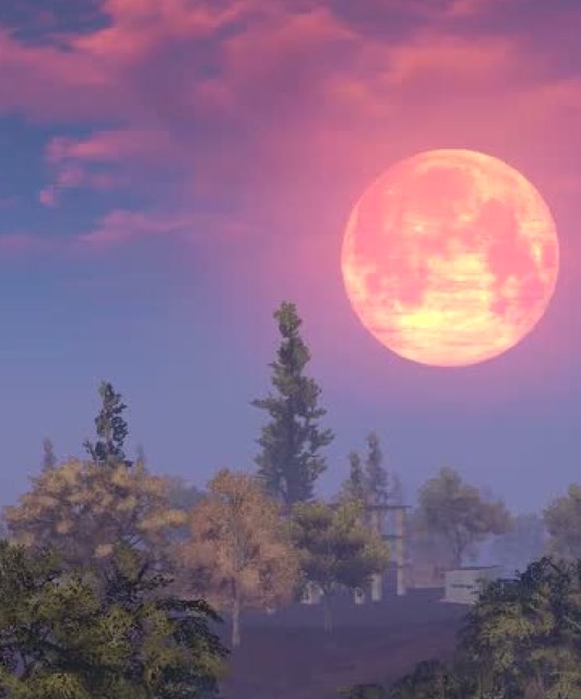 CF手游3月新版本：血月枪神 战火重燃 10s免费观看