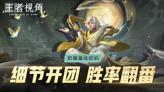 《王者视角》第十四期 把握最佳时机 细节开团胜率翻番免费观看