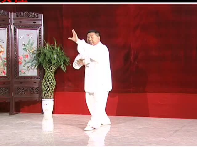 程派八卦掌教学视频03乌龙绞柱