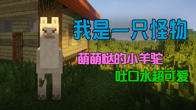 皮卡解说我的世界我是一只怪物第一集: 萌萌哒的小羊驼免费观看