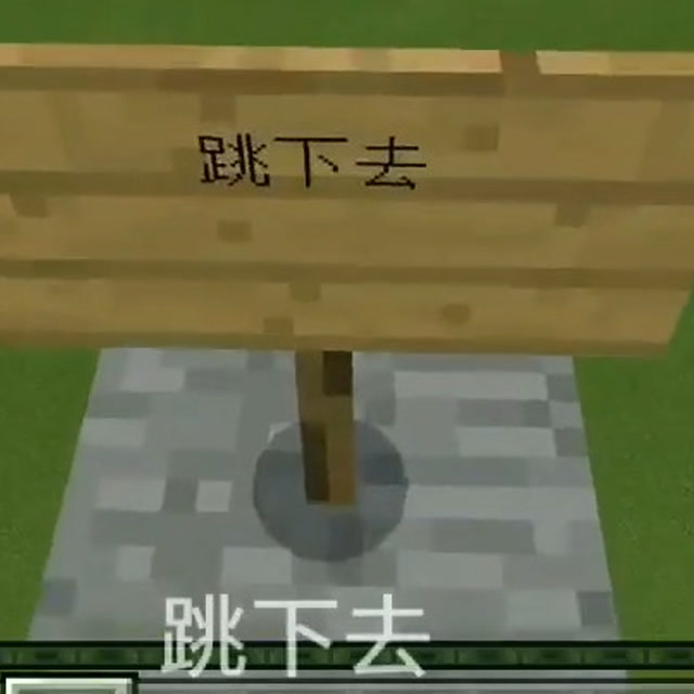 我的世界：自制坑爹地图，作者，虽然我长得帅，你也别让大家都知道吧免费观看