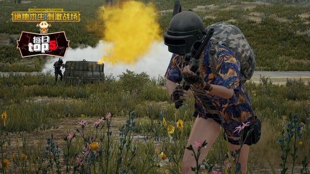 每日TOP5：刺激战场不求人手枪的疯狂屠杀免费观看