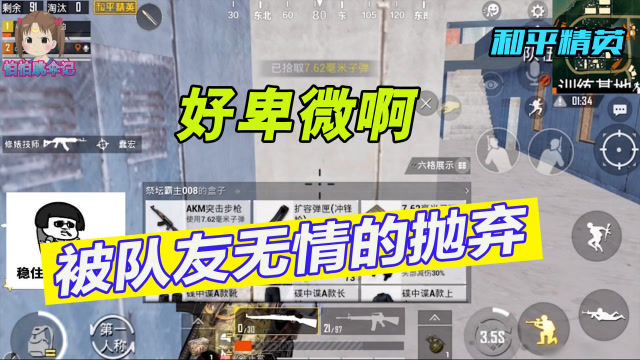 和平精英：感到好卑微啊，主播被队友无情的抛弃免费观看