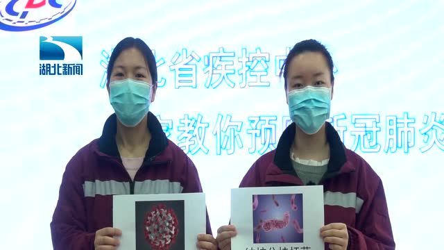 病毒和細菌二