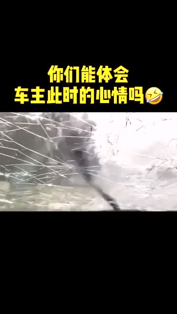 車主:你能體會我當時那種無能爲力的感覺嗎