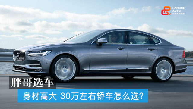 胖哥選車 身材高大 30萬左右轎車怎麼選?