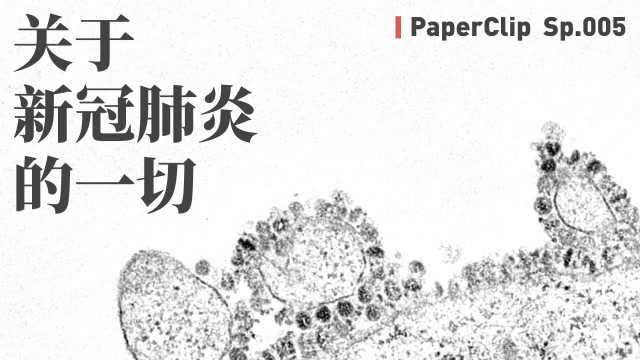 回形針:關於新冠肺炎的一切