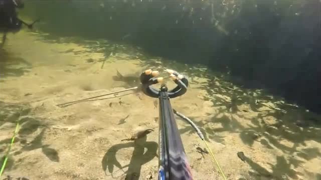 第一视角拍摄水下猎鱼,潜入水底寻找鱼道寻找大鱼