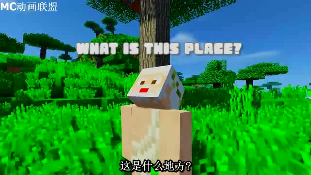MC动画-如果哲学家玩MC-Mad Dreamer免费观看