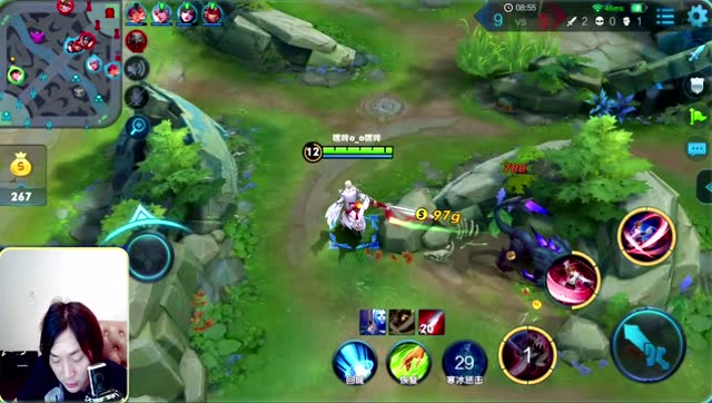 张大仙：大仙告诉你为什么那么多人喜欢按投降，不高兴就写作业吧免费观看