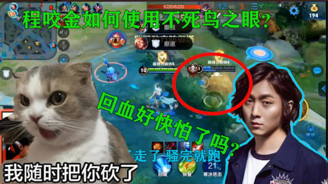 王者荣耀张大仙：大仙程咬金“不死鸟之眼”太优秀！残血瞬间回满！免费观看