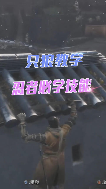 只狼：一个合格的忍者，不仅要学会攀岩，还得学会这项技术免费观看