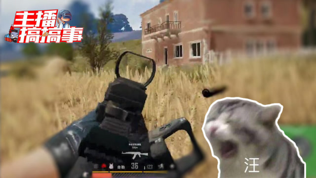 主播搞搞事171：托马斯被路人打的汪汪叫？兮涵在吃鸡强势碰瓷！免费观看