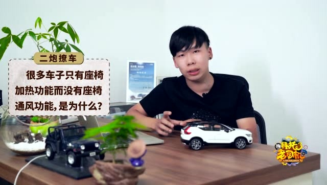 買車到底選“雞頭”還是選“鳳尾”?兩者差別大嗎?