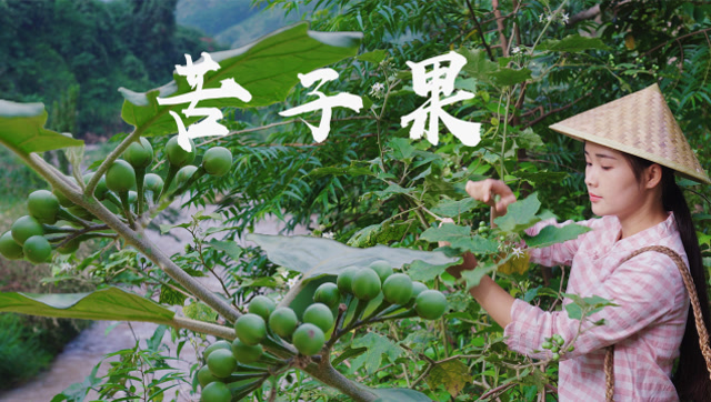 滇西小哥